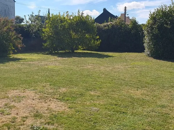Terrain 300m2
