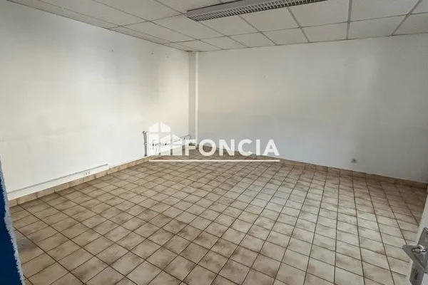 Local d'activité 1 pièce 520 m²