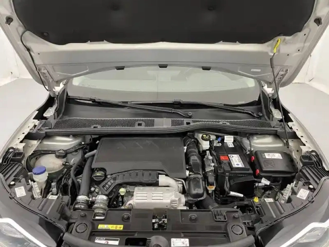 Ds Ds 3 ds3 crossback puretech 130 eat8 — photo 11