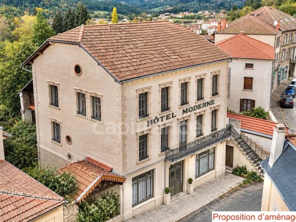 IMMEUBLE À RÉNOVER DE 480 M2 SUR 4 NIVEAUX, TERRAIN DE 623 M2, DÉPENDANCES, PROXIMITÉ DES COMMERCES