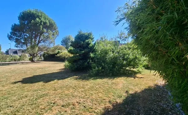 Terrain 562 m²