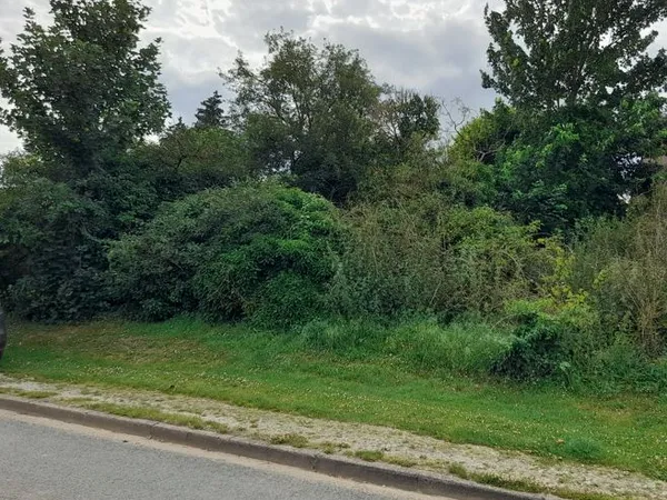 Terrain constructible