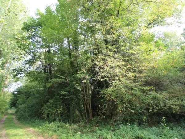 Terrain 4390 m²