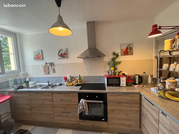 Tres bel appartement au centre du Tende, refait et equipe a neuf
