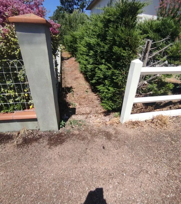 Photo 3