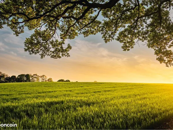 Terrain agricole de 3 798 m² - Vire Normandie