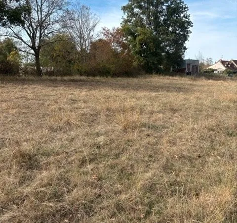 Terrain 1 231 m² Paray Le Monial