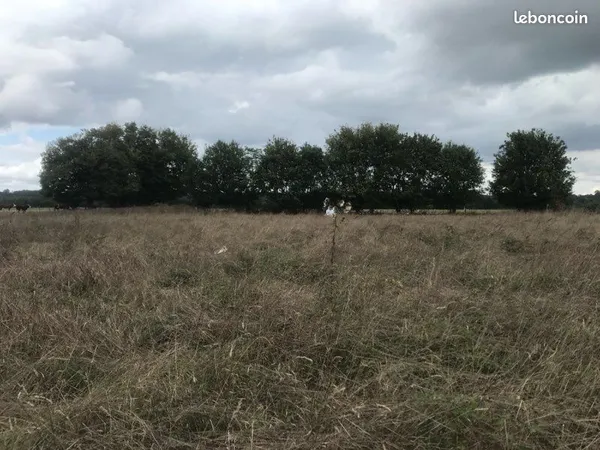 Parcelle agricole 4 075 m² - Pointis-Inard