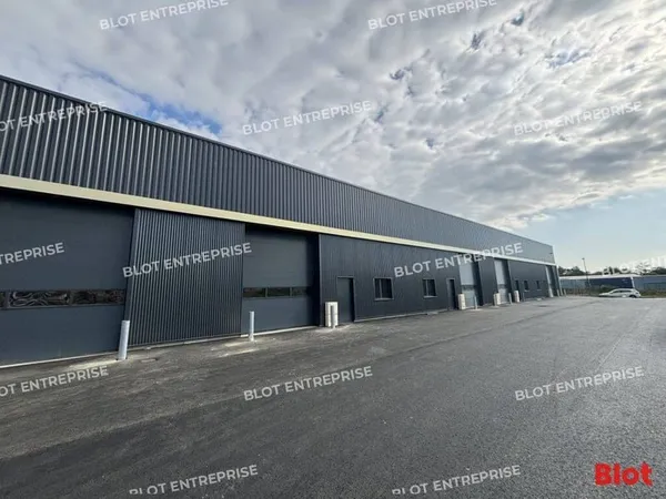 Entrepôt 251 m²