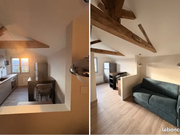 Studio 21 m² entièrement rénové - Meublé - Charme de l'ancien