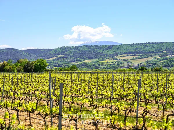 Domaine viticole confidentiel en Drôme Provençale