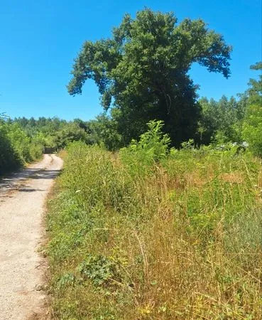 Terrain non constructible