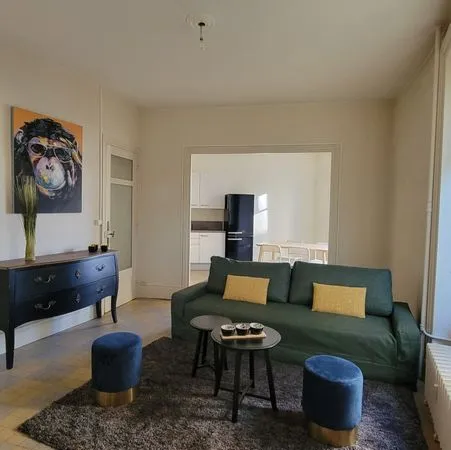 T2 meublé 59 m² - Centre Deux - Saint-Étienne - 79 000