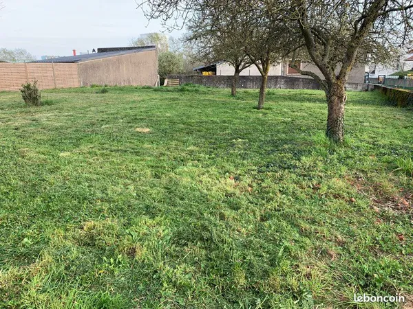 Terrain constructible