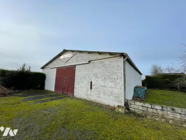 Local 253 m²