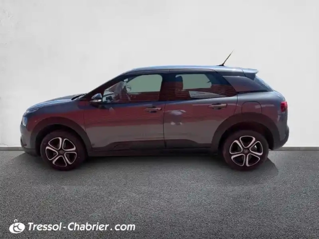 Citroën C4 cactus bluehdi 100 s&amp;s bvm6 shine — photo 20