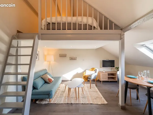 Studio 1 pièce 19 m²