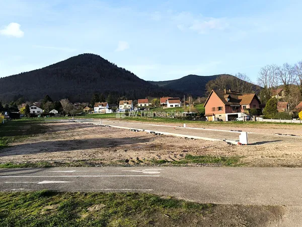 Terrain viabilise LIEPVRE
