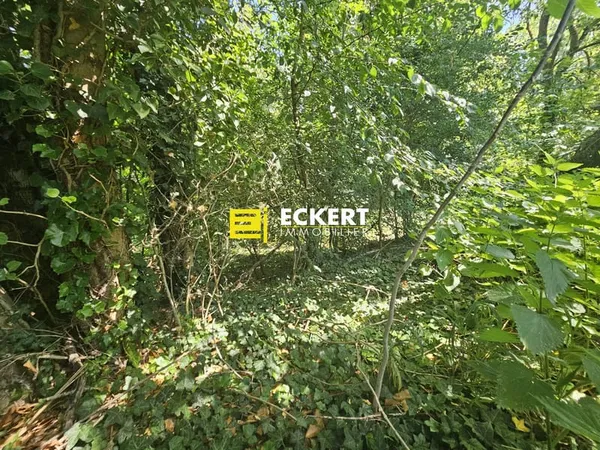 RARE, très beau terrain de construction de 10.5 ares à Wolxhei