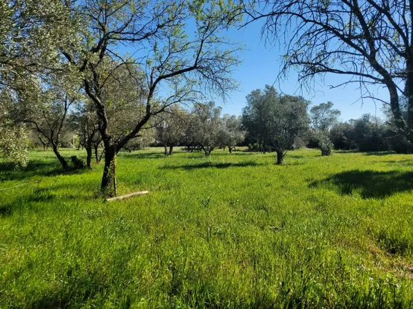 Uzès - Terrain contructible