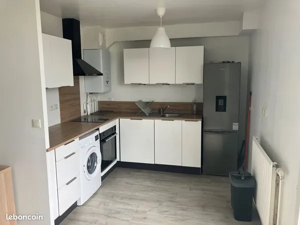 Appartement meublé 2 pièces de 54 m² avec terrasse et cave - Le Mans