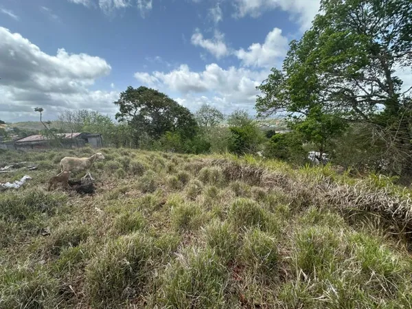 Terrain 1000 m²