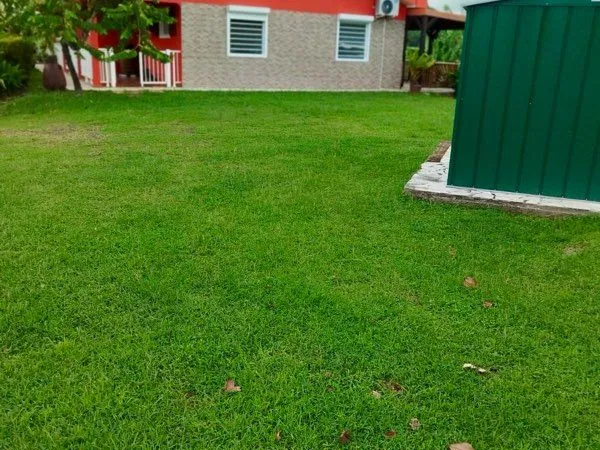 Maison 4 pièces 120m2