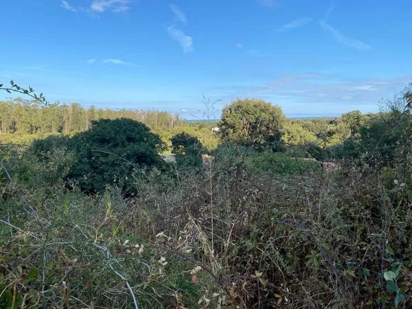 Terrain 2190 m²