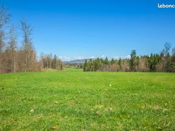 Terrain 490 m² Monnaie