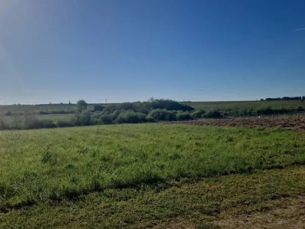Terrain 460 m²