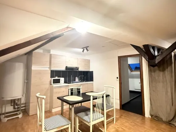 Loft/atelier/surface 2 pièces 49 m²