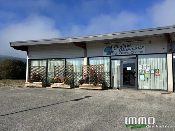 Local professionnel/Commercial Vagney