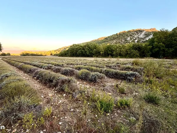 Terrain 35627 m² MALEMORT DU COMTAT