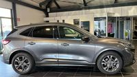 Ford Kuga 1.5 EcoBlue 120ch ST-Line Powershift — photo 4