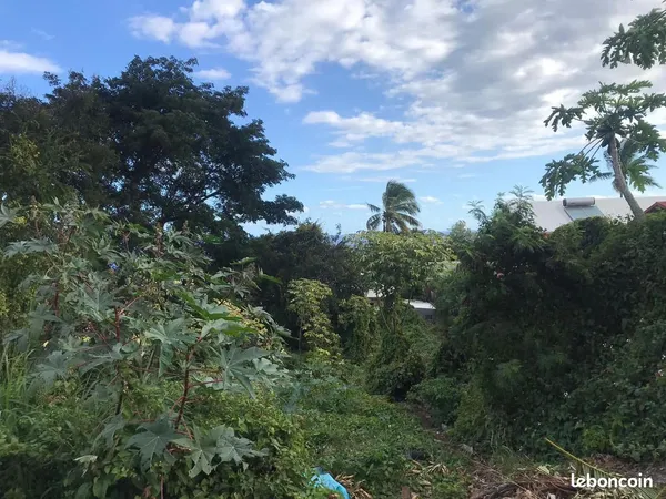 Terrain 1000m2 Piton Saint-Leu +/- projet
