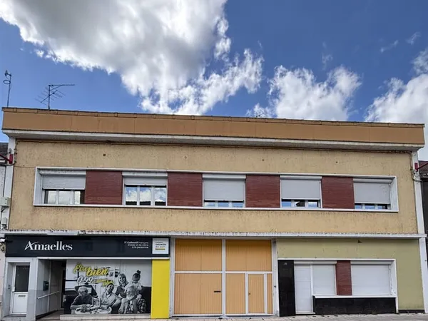 Ensemble immobilier avec maison, appartement, local commercial, piscine et dépendances Centre-ville