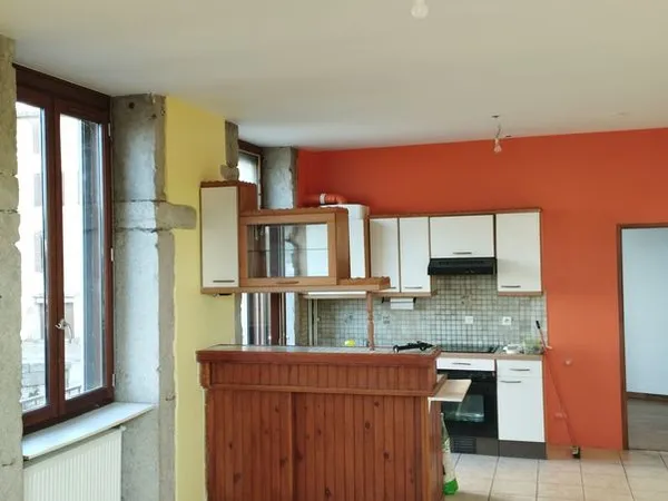 Appartement F1 44 m2 Rdc Vienne