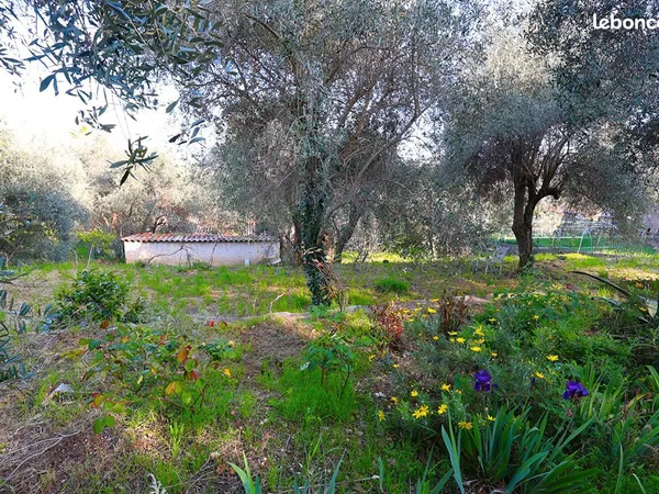 Terrain 1392 m² SPERACEDES