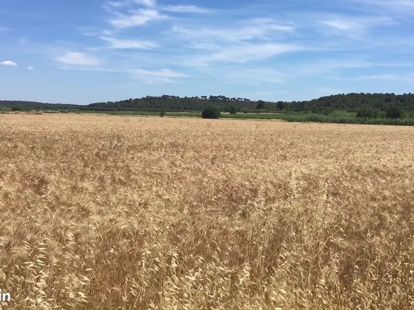 Lot de terres agricoles sur Congénies - 4,7 Ha