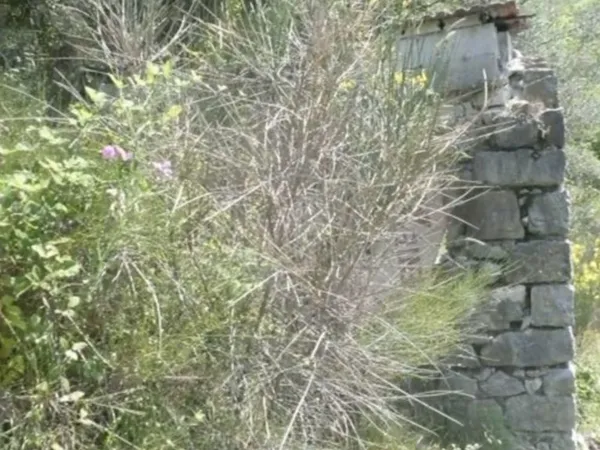 Luceram terrain agricole avec cabanon
