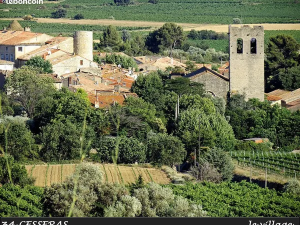 6000m² de Parcelles de terres agricoles à Cesseras