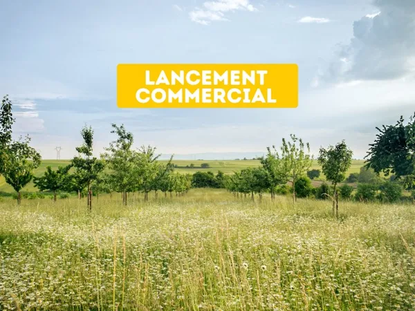 Terrain en individuel 607 m²