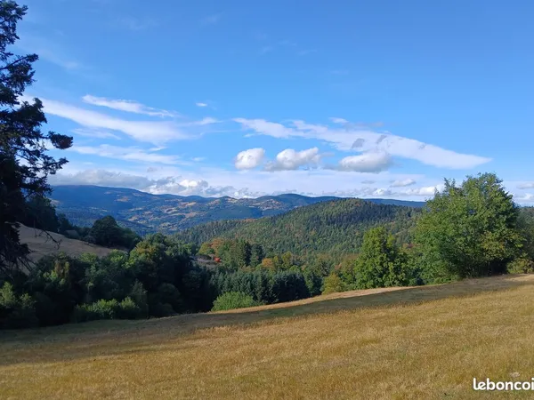 Terrain 1606 m² Breitenbach-Haut-Rhin