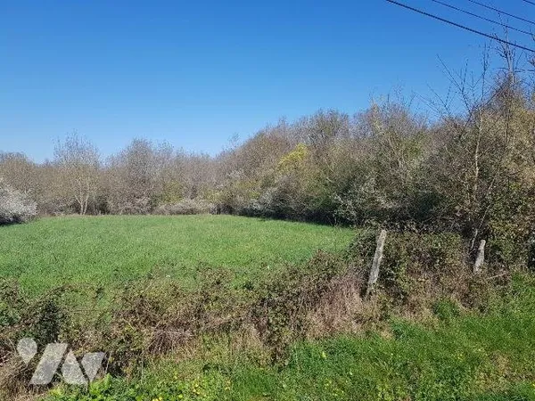 Terrain 1274 m²