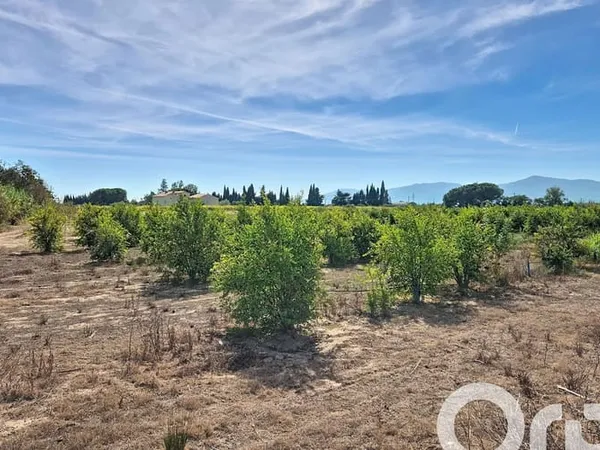 Terrain 7385 m²