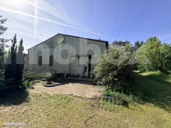 Local d'activité 243 m²