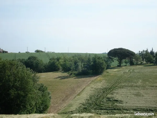 Terrain agricole