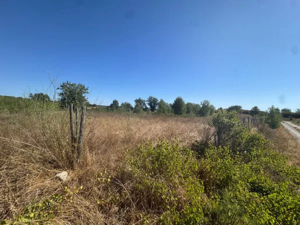 TERRAIN 3858 M2 CAMPAGNE 34160