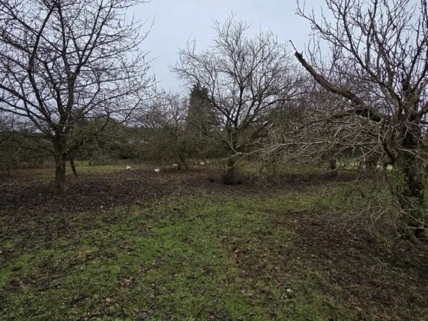 Terrain 614 m²