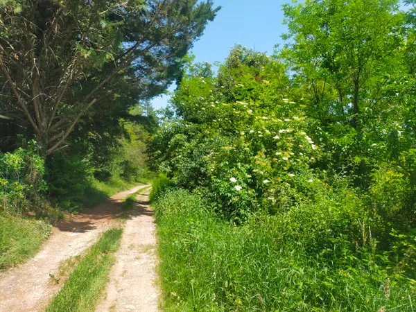 Terrain en individuel 1402 m²